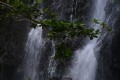LA REUNION 5